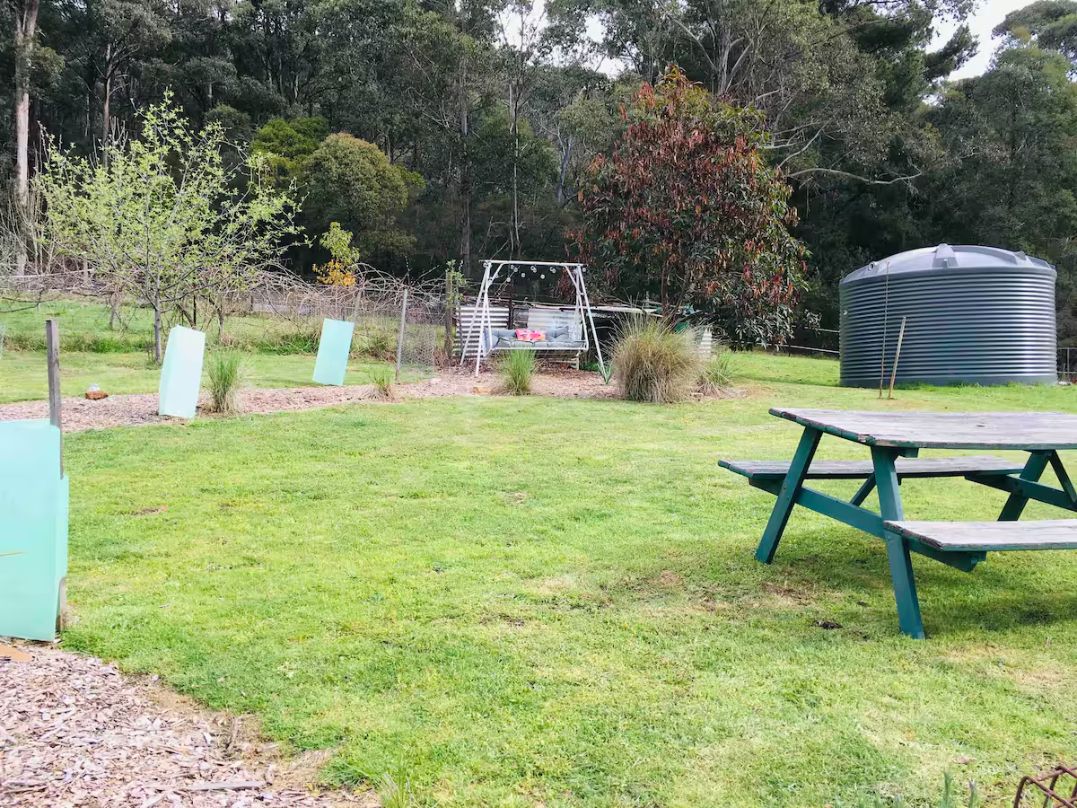 Backyard with picnic table and bush swing